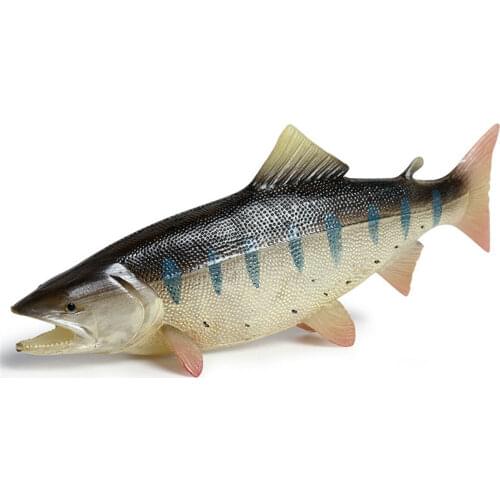 Simulation Chum Salmon Fish Figure Ocean Animal Model Oncorhynchus Collector Kid Toy Gift Educational Model Decor Gift