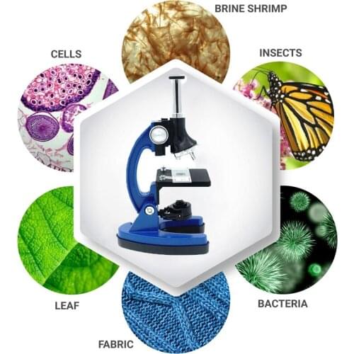 1200X Student Monocular Biological Microscope Set LED Home School Science Educational For Kids Child Lab Optical Instruments