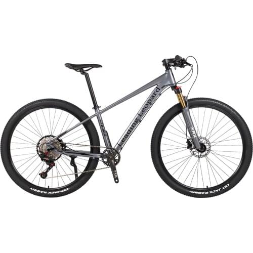 2021 New Aluminum Alloy Mountain Bike 12-Speed 29' Dual Disc Brake Adult Cycling Bicycle