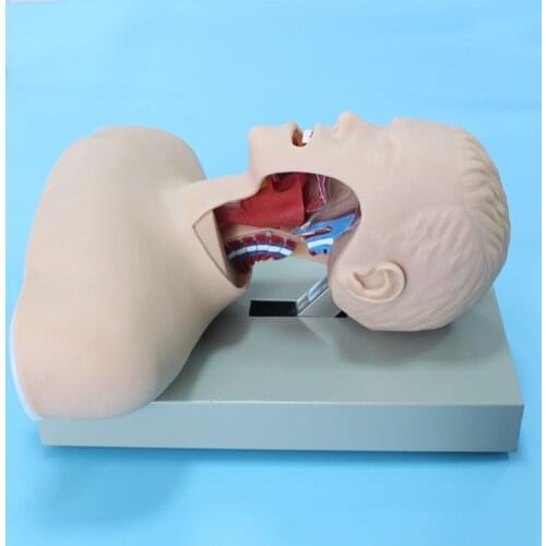 Senior Human Trachea Intubation Skills Training Model
