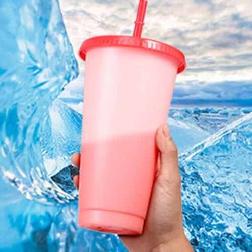 5Pcs/Set Straw Cup Portable Drinkware Cup Eco-friendly Heat Resistant Plastic Color Changing Cup for Travel Outdoor Home
