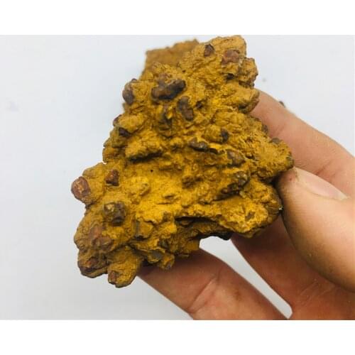 80g Natural Dinosaur dejecta fossil rough feces fossil specimen