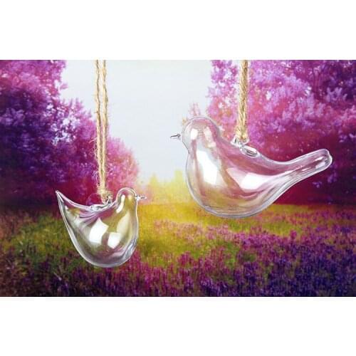 1PC Clear Bird Glass Vase Bottle Terrarium Hydroponic Container Pot Flower DIY Table Wedding Garden Decor ELD 153