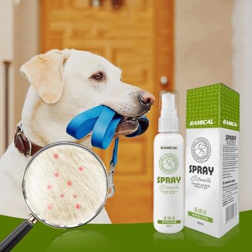 Dog Deworming Supplies Pet Accessories for Dog and Cat Eliminate Fleas and Mites Cat and Dog Drops Insect Repellent for Cats