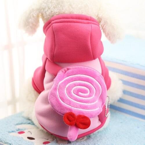 2020 NEW Cartoon Printed Cute Pet Costume Hoodie Autumn and Winter Dog Cat Clothes Brand Small Dog Coat for Cats Chihuahua 3