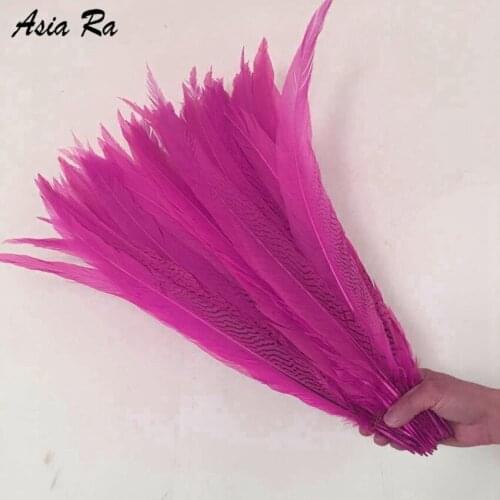 20Pcs/Lot 50-55cm 20-22inch Hot Pink Silver Pheasant Tail Feathers Wedding Decorations lady amherst silver feathers plume DIY