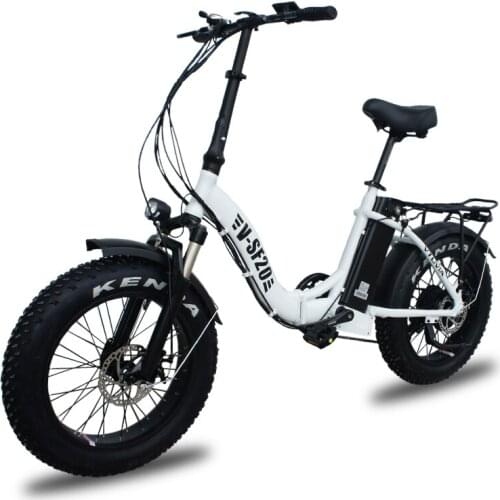 LAFLY Motorized Bicycles