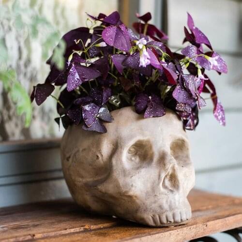 Cement Skull Flower Container and Flower Pot Art Alternative Personality Decoration Creative Desktop Potted Skull Rock
