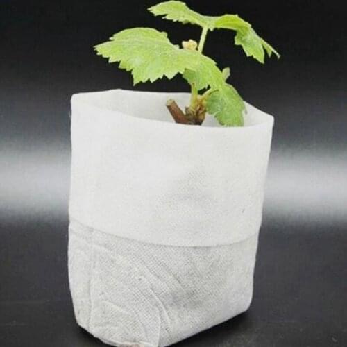 DesertCreations Outdoor Pots