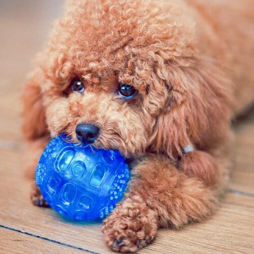 Dog Teeth Brushing Pet Chew Tooth Cleaner Dog Tooth Cleaning Exercise Ball Bite Resistant Sound Molar Training Ball