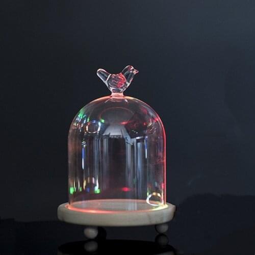 Free Shipping 9*11cm Small Size Colorful Luminous Log Base Different Top Glass Dome Home Decoration Transparent Candle Cover