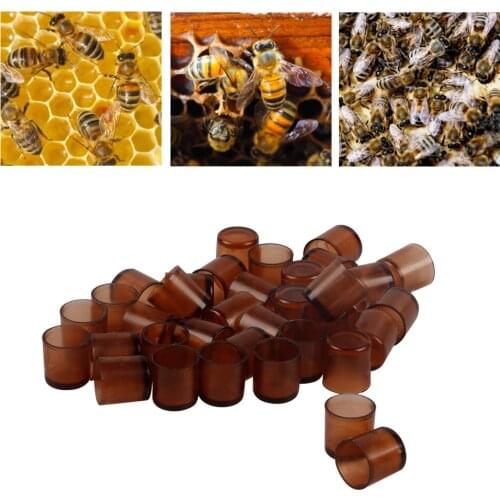 Beekeeping Bee Queen Cells Nicot Larva Rearing System Honeybee Equipment Apiculture Tools Beehive For Beekeeper
