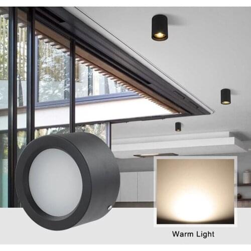 SANDIY Spotlights