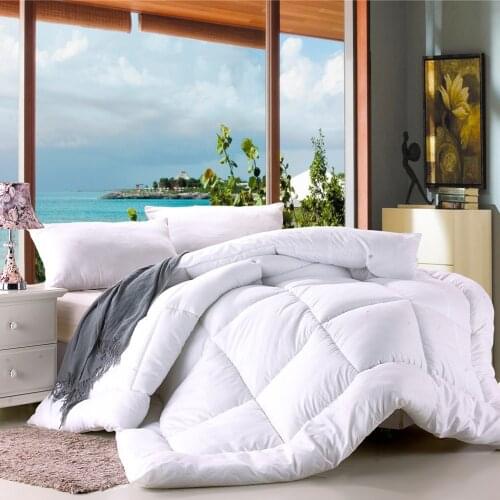 Cotton Quilts Spring And Autumn Quilt Core Winter Chemical Fiber Cover Thickened Warm Ground Embossed Student Winter Duvet