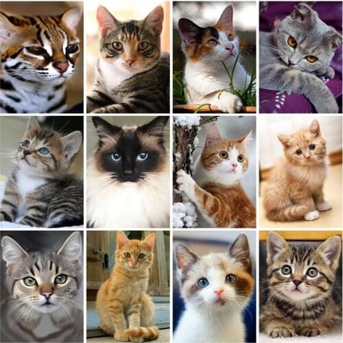 DIY 5D Diamond Painting Full Square Drill Rhinestone Cat Diamond Embroidery Animals Cross Stitch Kit Wall Art Gift Home Decor