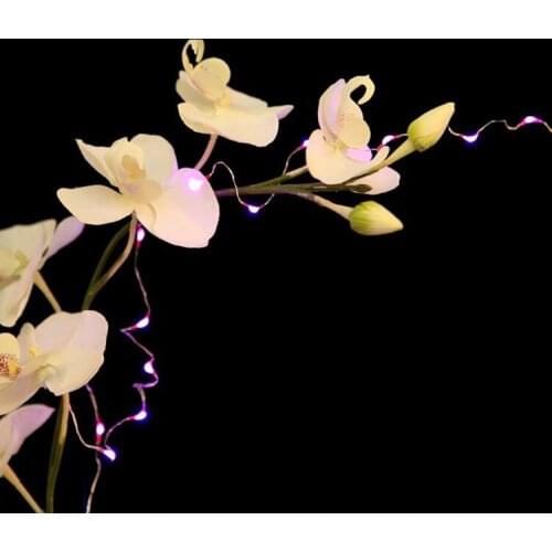 Factory Wholesale Romantic battery operated mini led lights Small CR2032 Battery Powered Party Decor LED Fairy Light For Crafts