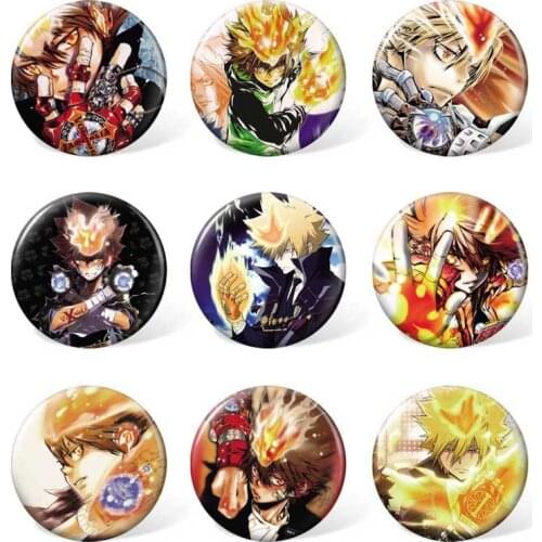 9pcs/set ) Anime Cartoon HITMAN REBORN Badge Sawada Tsunayoshi Boy Girl Clothing & Accessories Brooch