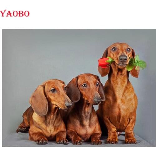 New arrival Full Square Round Diamond Painting dachshund dog DIY Diamond embroidery diamond mosaic picture 3d Cross Stitch kits