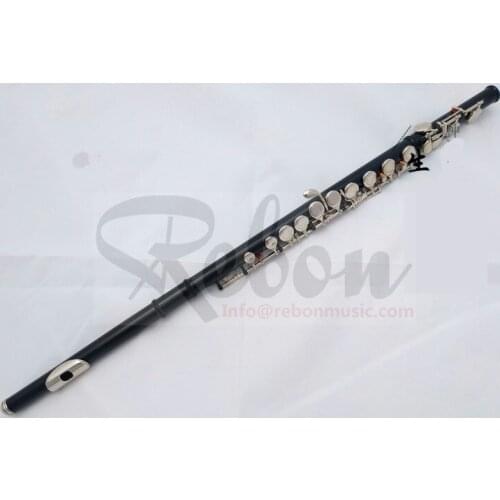 Weifang Rebon Cheap Satin Black C key 16 Holes Flute