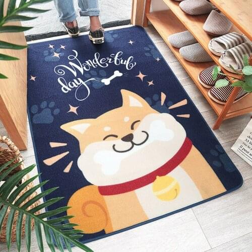 New Cartoon Wear Resistant Nylon Household Cushion Carpet with Dust and Slip-proof Cushion Door Mat