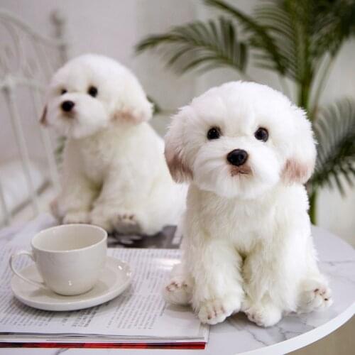 Bichon Frise Puppy Stuffed Teddy Dog Plush Toy Cute Simulation Pets Fluffy Baby Dolls Birthday Gifts for Children Dropshipping
