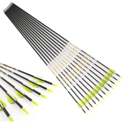 Archery Pure Carbon Arrows V1 ID4.2mm Spine350 - 800 1.75inch Plastic Vanes 80gr Tips for Recurve Bow Shooting hunting 6/12pcs