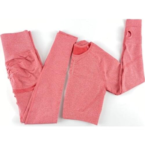 Women Seamless Yoga Set Sports Clothing Sportswear Yoga Bra Pants Long Seeve Top High Waist Running Leggings Workout Clothing