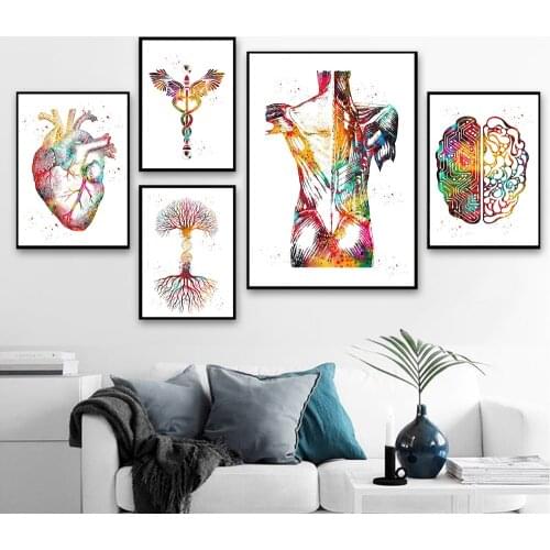 Heart Print Skeleton Watercolour Art Canvas Poster Painting Lung Brain Anatomy Medicine Wall Print Clinic Medical Office Decor