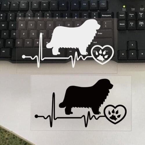 XY newfoundland Car Body Decal Car Stickers Motorcycle Decorations Vinyl Black/Silver white 18cmx10cm