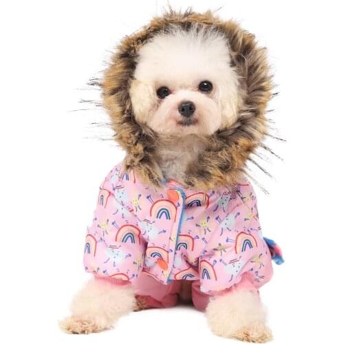 Cotton Hooded Warm Winter Thickness Pet Dog Clothes Cat Puppy Dogs Coat Jackets Jumpsuit Rainbow Pattern From S-XL For Small Dog