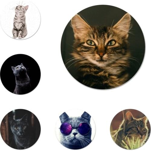 Gatos Badge Brooch Pin Accessories For Clothes Backpack Decoration gift 58mm