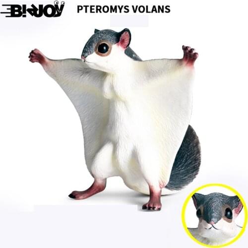 Childrens Simulation Animal Toy Solid Guinea Pig Flying Squirrel Flying Squirrel Flying Tiger Rat Plastic Ornament Animal Model
