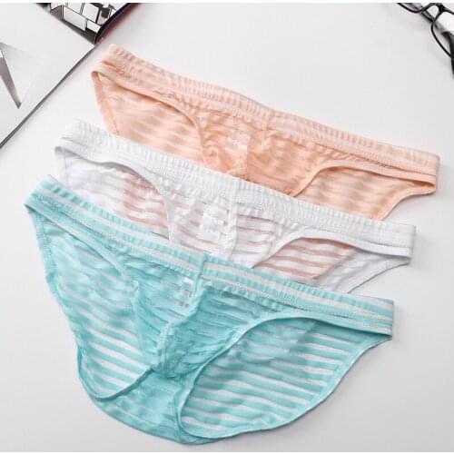 Male Underwear Sexy Mens Underpants Low Waist Sexy Breathable Mens Super Thin Mesh Briefs Underwear Sexy Man Underwear