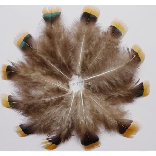 20/ 50 /100 pcs 4-9cm Natural Pheasant chicken feathers for crafts Clothing jewelry Headwear Christmas Holiday Decoration plumes