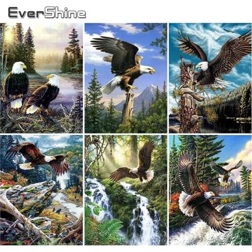 EverShine 5D Diamond Painting Eagle Handicrafts Rhinestones Pictures Full Drill Diamond Embroidery Animals Decor For Home