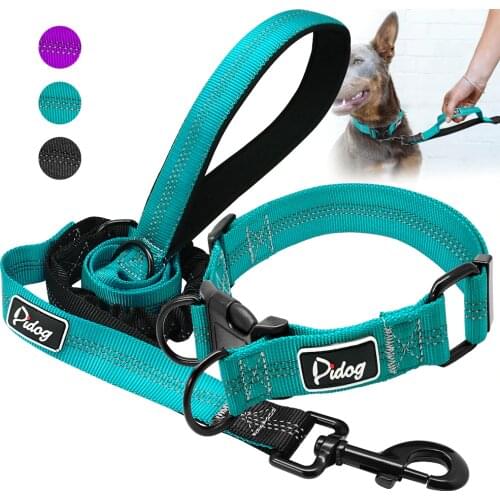 Reflective Dog Collar and Leash Set Nylon Pet Collar Dog Leash Lead Training Running Walking Leashes for Small Medium Large Dogs