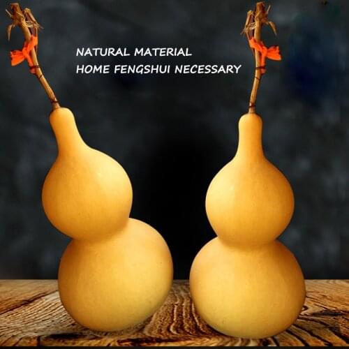 45 Cm High Natural Plant Fengshui Dasu Hulu Dahulu Household Office Porch Decorations In Shanxi Province, China