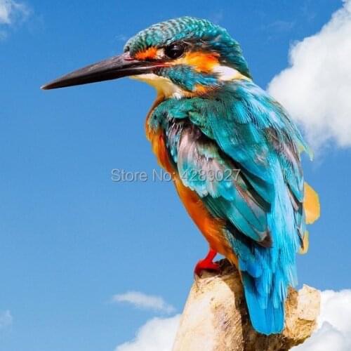 5D DIY Full Drill Square & Round Diamond Painting Kingfisher Bird Rhinestone Diamond Pictures Cross Stitch Needlework Wall Art