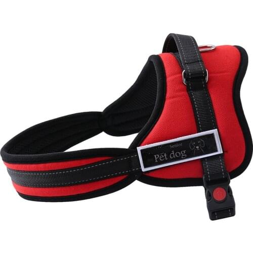PESIFUTE Harnesses
