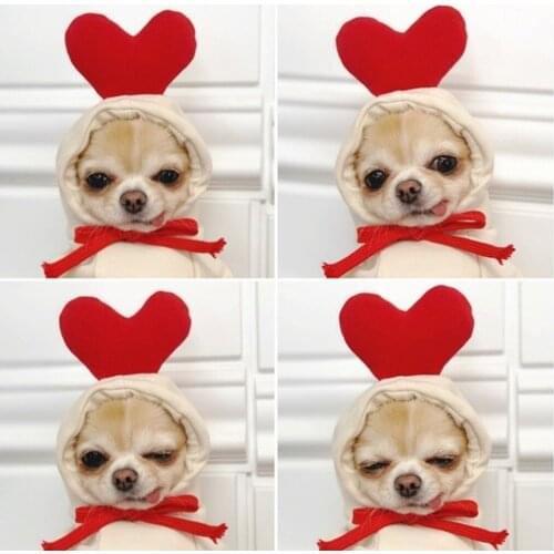 Dogs Cats Fruit Jackets Small Medium-sized Dogs Autumn/Winter Sweater Fleece Clothes for Pet Teddy Fight