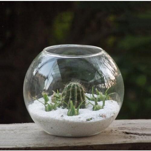 16pcs/pack Diameter=8cm Small Size Top Open Glass Terrarium Vase Home Decoration Table Stand Aquarium Fishbowl