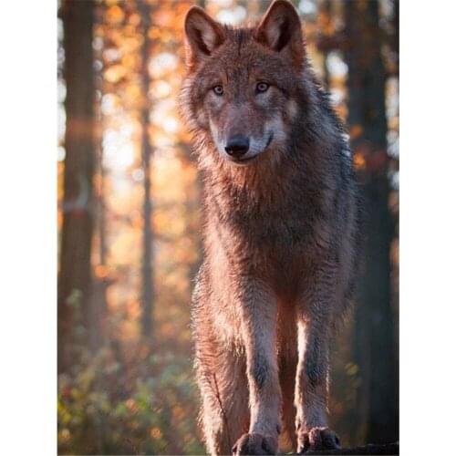 Animal Wolf Printed 11CT Cross Stitch Embroidery Patterns DMC Threads Handicraft Craft Handmade Handiwork Stamped Needle