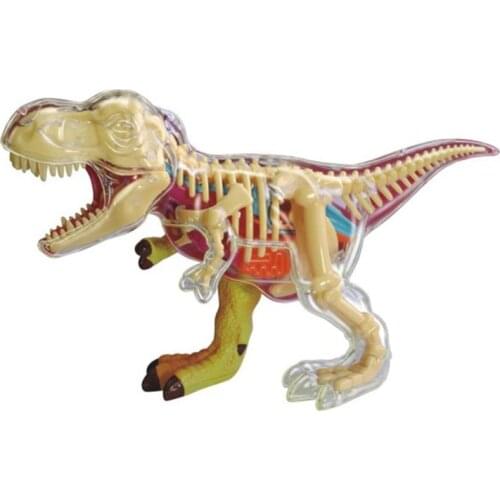 Authentic 4D Master Dinosaur Anatomy Assembly Model Q Edition Simulation Animal Educational Toy