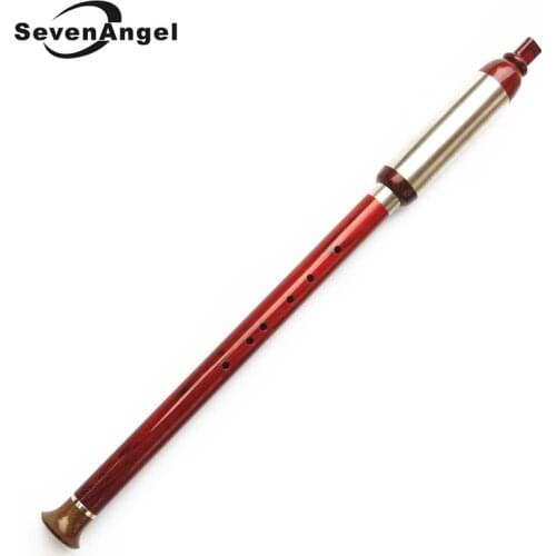 Bawu Chinese Vertical Flute F/G Key Handmade Detachable Imitate Rosewood ABS Resin Material Folk Musical Instrument Dizi