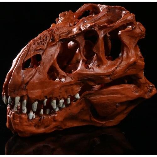 Tyrannosaurus rex Model home decoration resin Tyrannosaurus Rex 15.5*8.5*11.5cm Dinosaur skull specimens