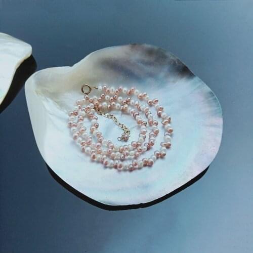 Natural Seashells Black Butterfly Shell Jewelry DIY Shell Nautical Beach Decor Scallop Specimen Restaurant Caviar Seasoning Tray