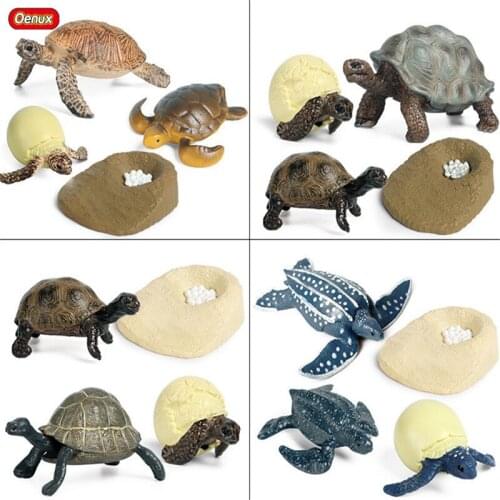 Oenux Sea Life Tortoise Animals Simulation Ocean Reptile Turtle Growth Cycle Model Action Figures Baby Early Education Kids Toy