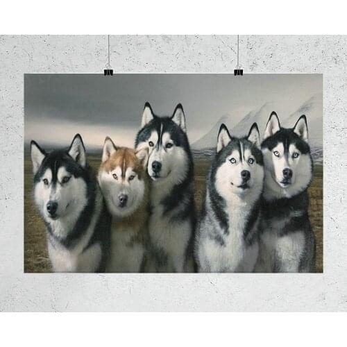 H135 Siberian Husky Wall Sticker Silk Poster Art Home Decoration