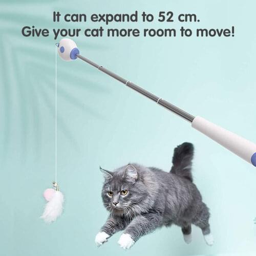 Interactive Pet Toy Funny Telescopic Feather Stick Laser Toys For Kittens Retractable Cat Playing Sticker Laser Toy Pet Supplies