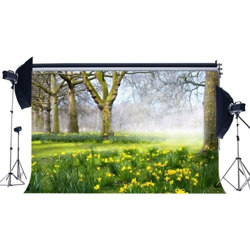 Spring Backdrop Jungle Forest Backdrops Old Trees Green Grass Meadow Fresh Ywllow Flowers Nature Photography Background